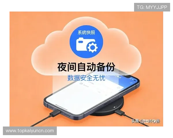 开云投注网站常见风险分析及应对策略确保您的投注安全无忧 开云投注网站常见风险分析及应对策略确保您的投注安全无忧
